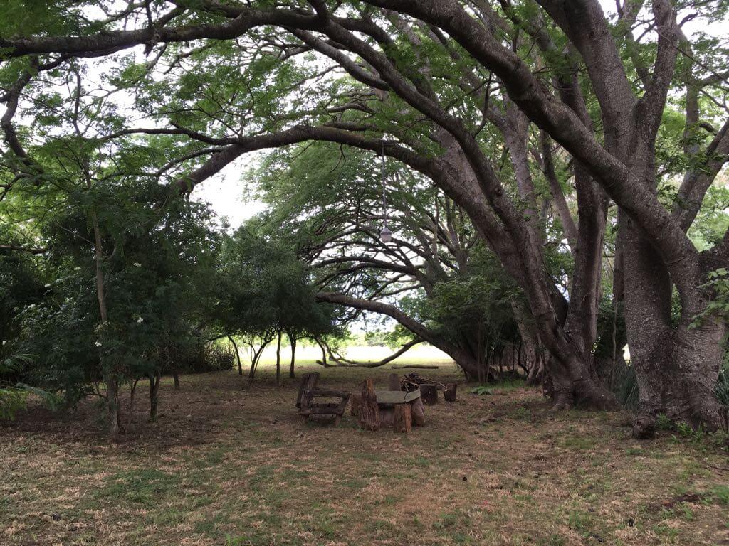 Zona descanso Chacra Pecanes PC