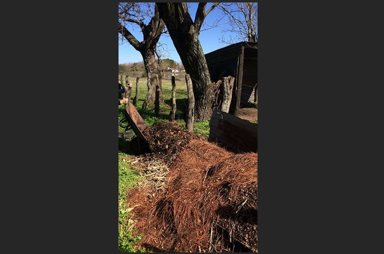 Preparación compost