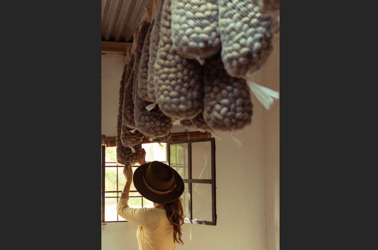 Proceso secado de las nueces cosechadas