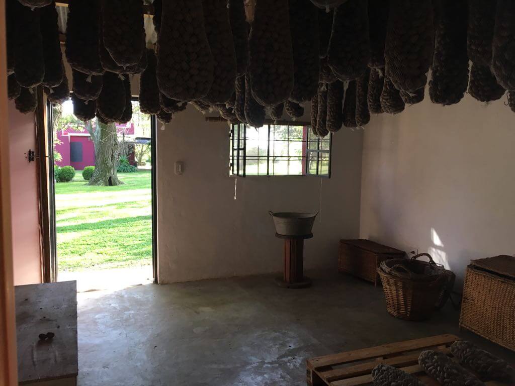 Almacenamiento para secado de la nuez pecan