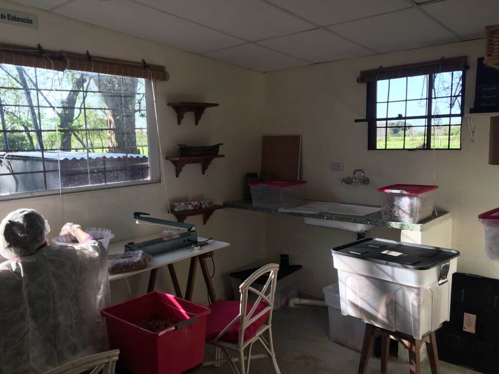 Espacio donde se envasan los Pecanes