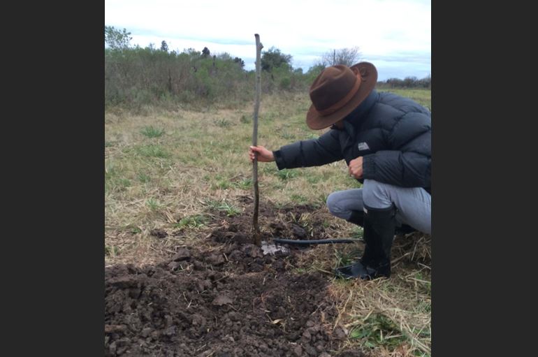 Siembra plantines Pecanes PC