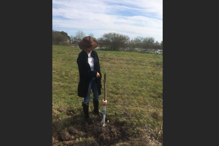 Siembra plantines Pecanes PC