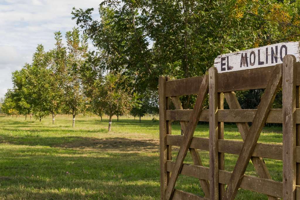 Tranquera entrada Chacra Pecanes PC
