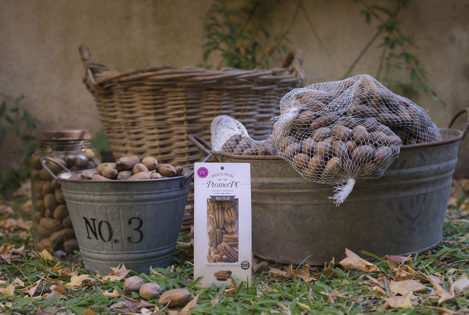 Presentación Mix de frutos Pecanes PC